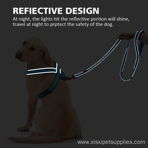 Reflective Rose Red Mesh Padded Dog Harness